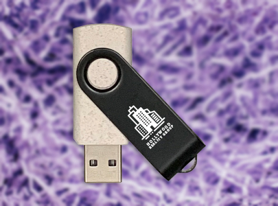 Custom imprinted Eco USB Flash Drive for Los Angeles, CA with a local business logo